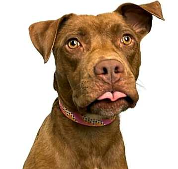 Photo of Winnie
