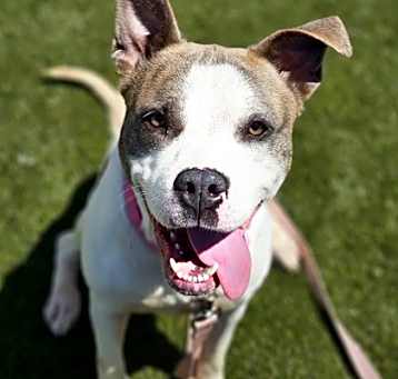 Photo of Artemis