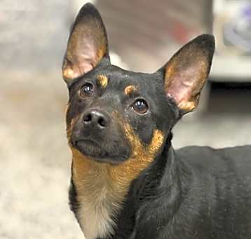 Photo of Mikko