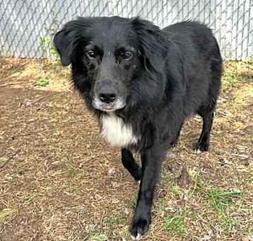 Photo of Twinkle ( Sponsored)