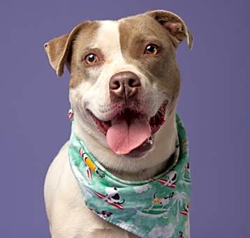 Photo of Lexi
