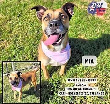Photo of Mia
