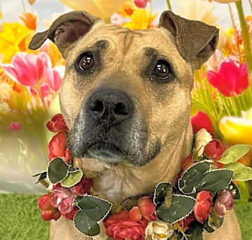 Photo of Betsy