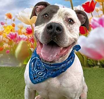 Photo of Zeus/Pesci