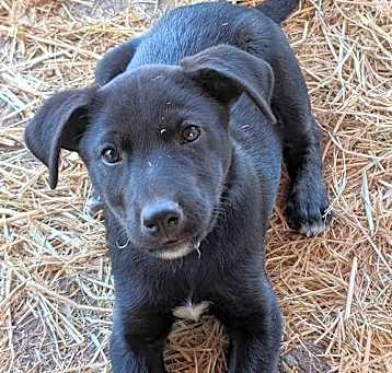 Photo of Hazel