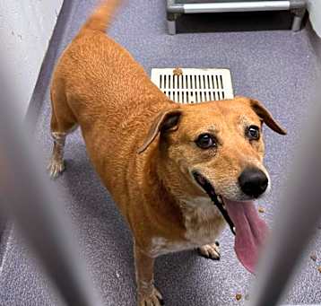 Photo of Emmy Lou