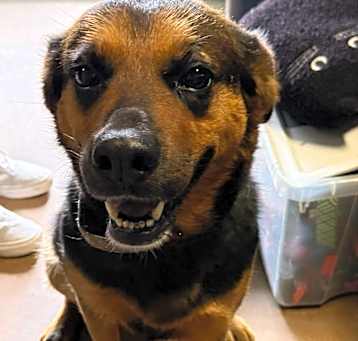 Photo of Della