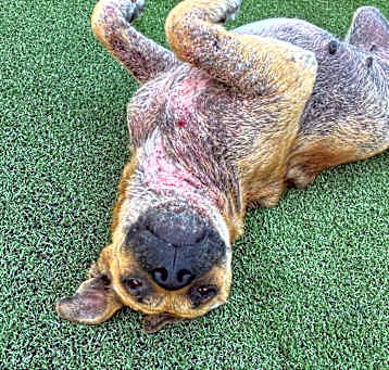 Photo of Pixie Jo