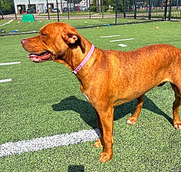 Photo of Cassie 