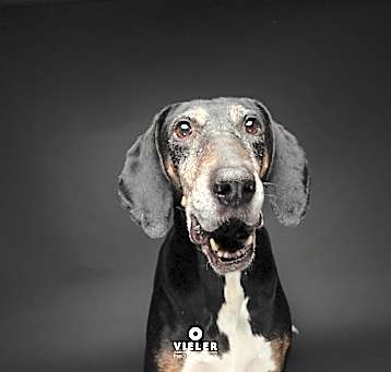 Photo of Thelma Lou