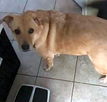 Photo of Bella