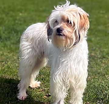 Photo of Tessa