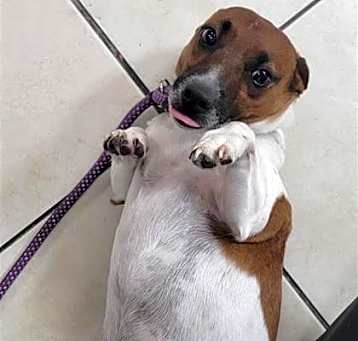 Photo of Bonus
