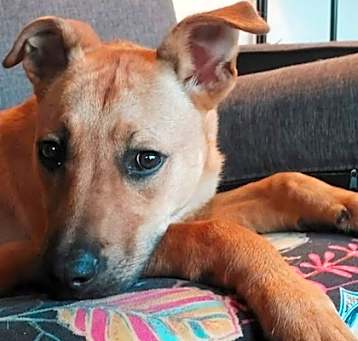 Photo of Banjo Marie