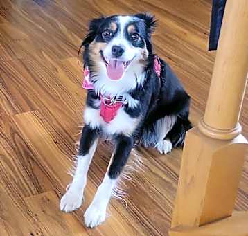 Photo of Charlotte “Charlie”