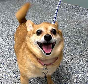 Photo of KayKay/Cookie