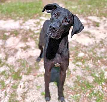 Photo of Tucker 