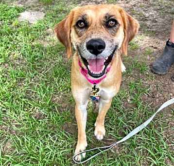 Photo of Annabelle