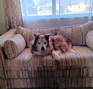 Photo of Belle