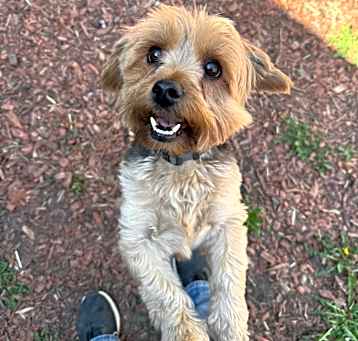 Photo of Oliver