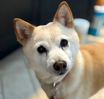 Photo of Mimi