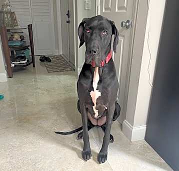 Photo of Grace