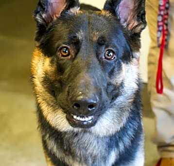 Photo of Zeus