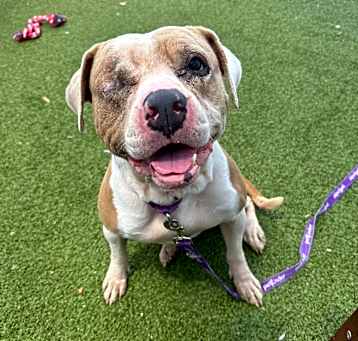 Photo of Roxy