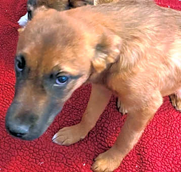 Photo of Wilma