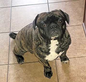 Photo of Deuce