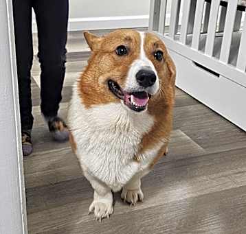 Photo of Daisy