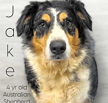 Photo of Jake