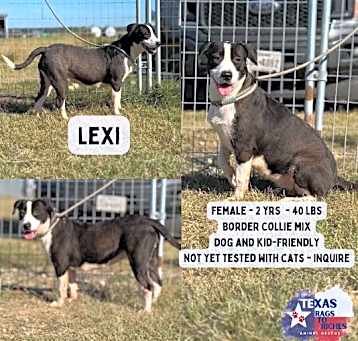 Photo of Lexi