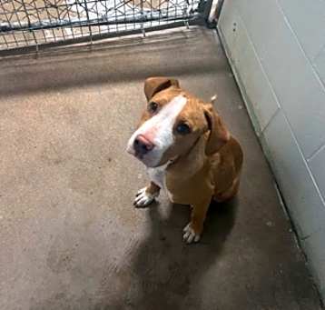 Photo of Buster