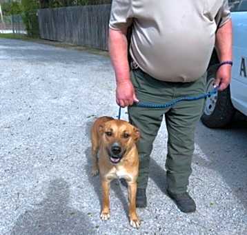 Photo of Cooper
