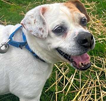 Photo of Sally