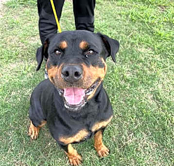 Photo of LEIA