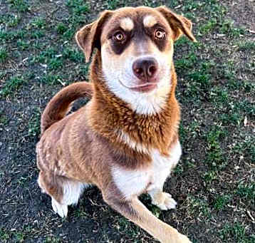 Photo of *KAROL