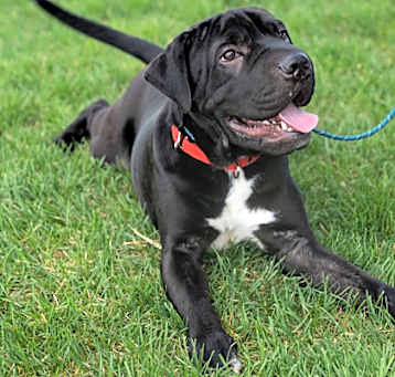 Photo of Bruce