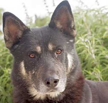 Photo of VADER