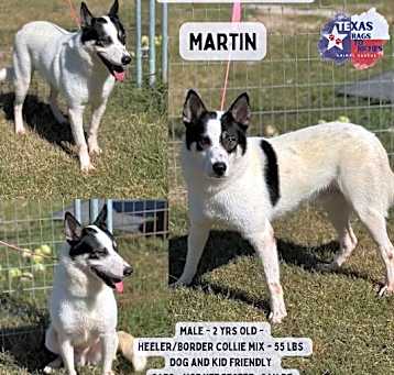 Photo of Martin