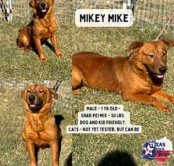 Photo of Mikey Mike