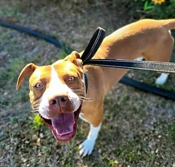 Photo of Diego