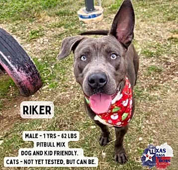 Photo of Riker