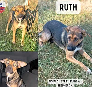 Photo of Ruth