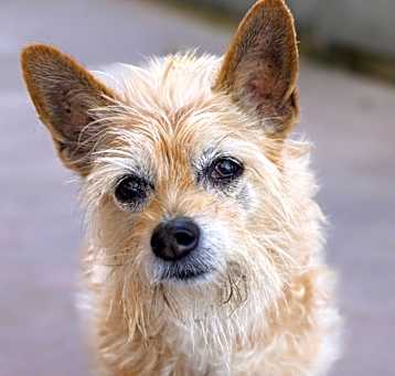 Photo of Mimi