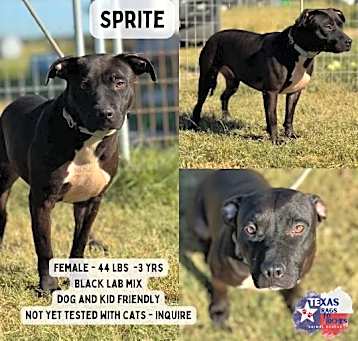 Photo of Sprite