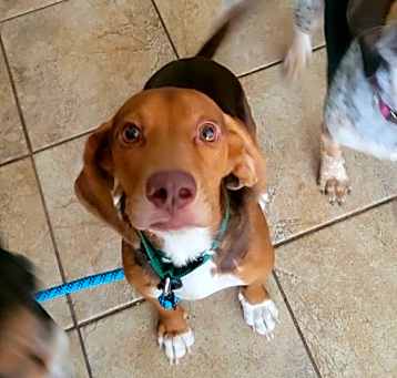 Photo of Crackerjack