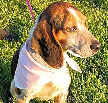 Photo of Maisy