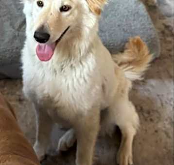 Photo of Emmy